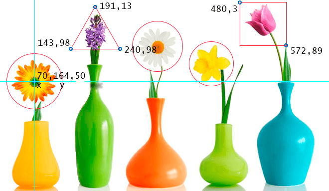 Flores para mapa de imagen