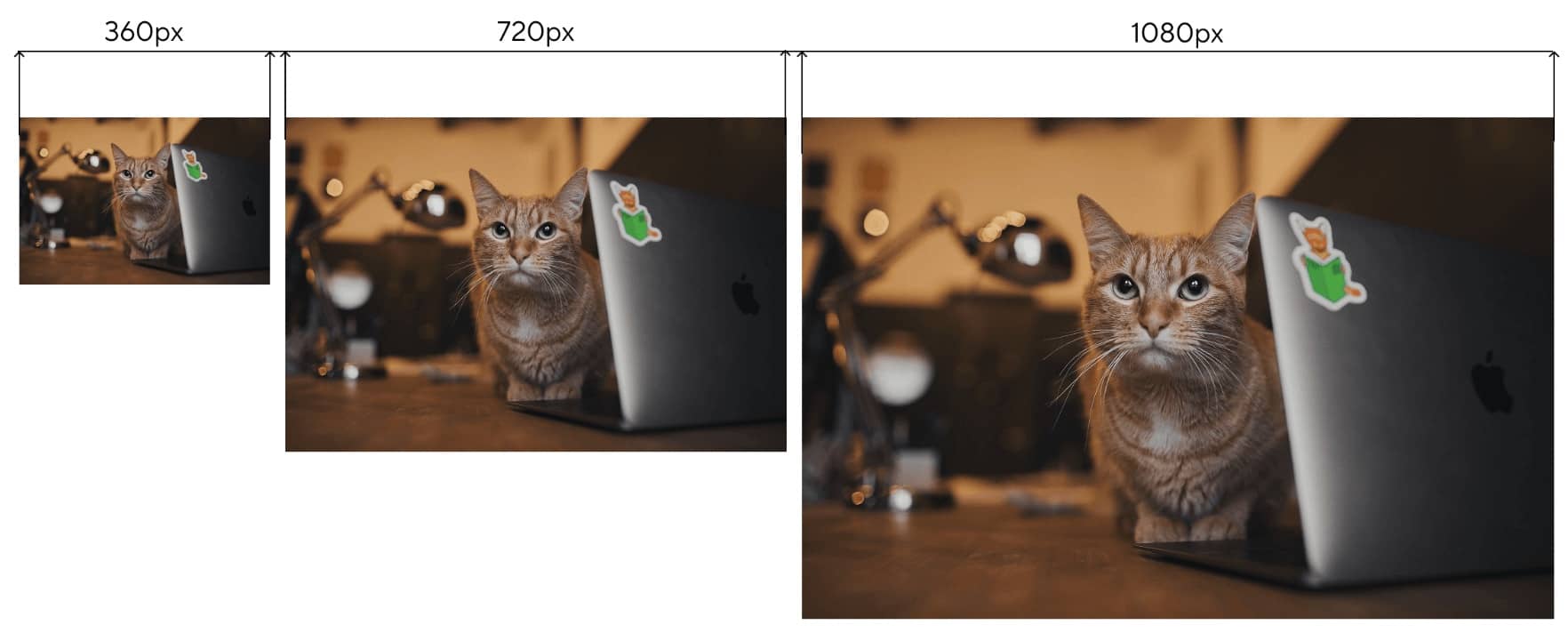 srcset según la densidad de pixeles